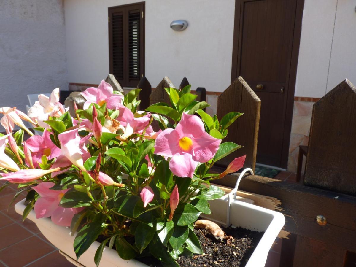 Villa Rosa Luxury Apartment Mondello Kültér fotó